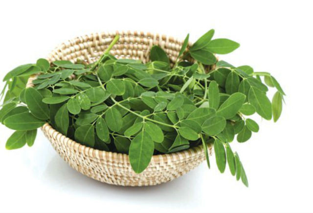 rửa sạch lá chùm ngây