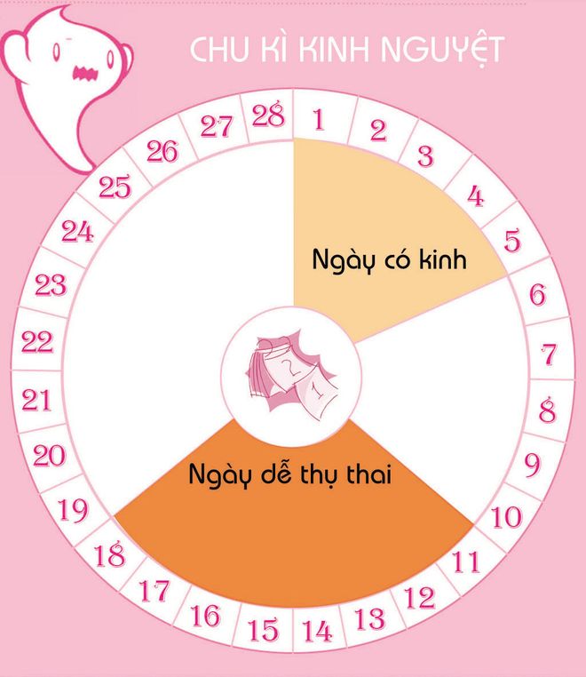 chu kỳ kinh nguyệt