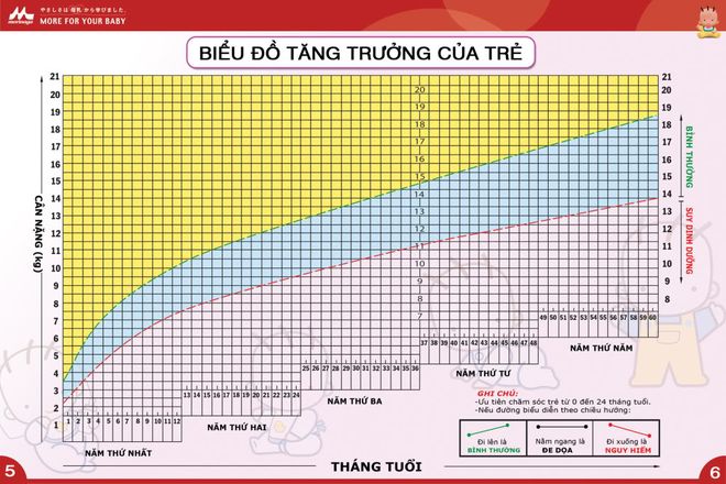 sơ đồ phát triển của bé