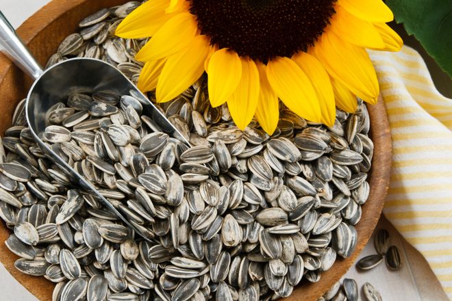 Hạt hướng dương là nguồn tuyệt vời của vitamin E