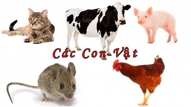 không nên nôn nóng khi dạy bé tập nói con vật