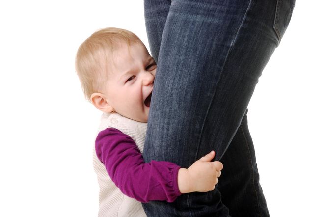 trẻ bám ba mẹ