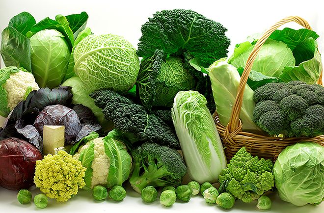 Các loại rau lá xanh đậm rất giàu Canxi, Magie, Folate giúp phục hồi buồng trứng