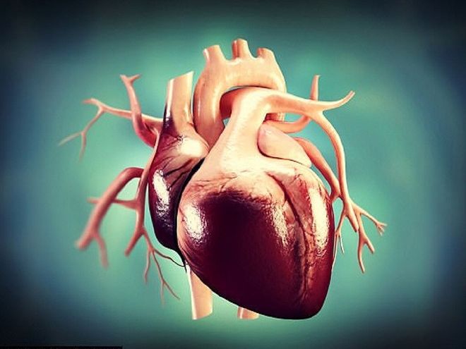 Trẻ béo phì có nguy cơ cao mắc các bệnh về tim mạch nguy hiểm