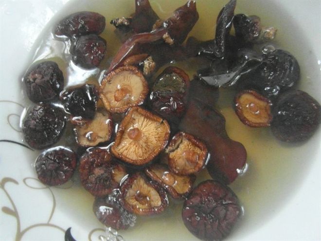nấm hương