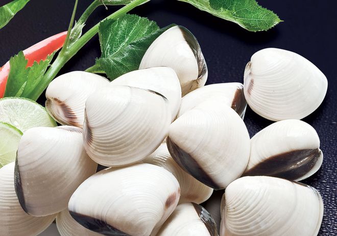 ngao rửa sạch