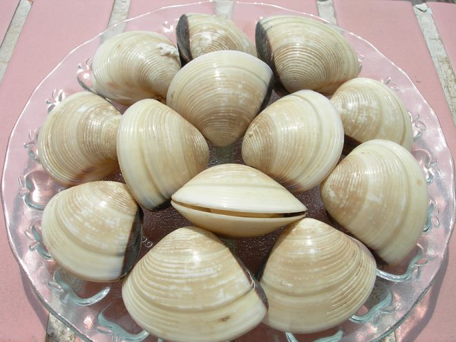 ngao rửa sạch để ráo