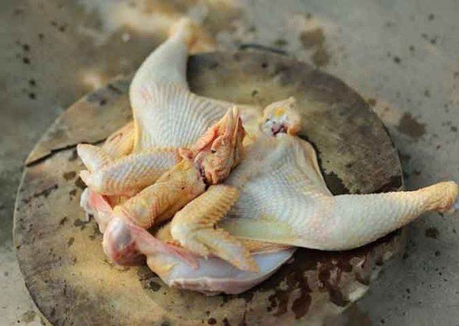 gập gà