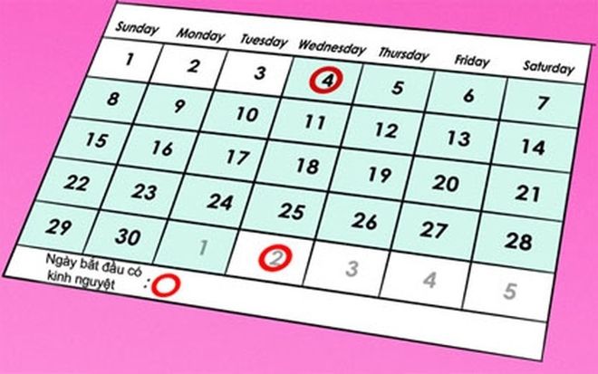Hầu hết phụ nữ đều có chu kỳ kinh nguyệt từ 28 30 ngày