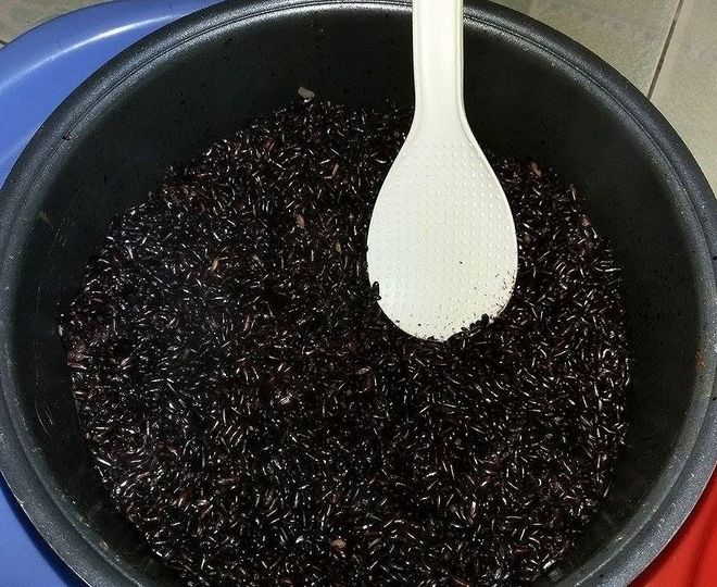 cho gạo nếp cẩm vào nồi cơm điện nấu chín