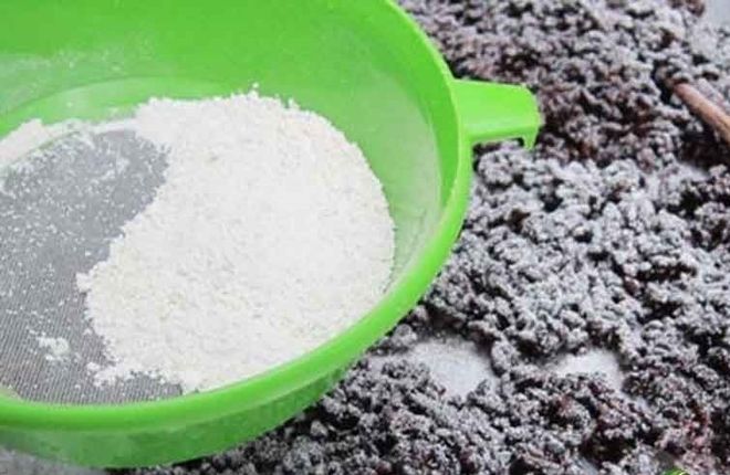 cho men vào rây và rắc đều lên bao phủ bề mặt cơm