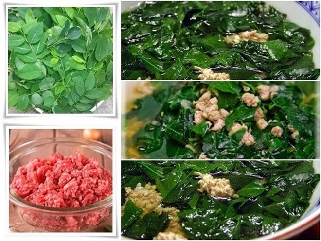 rau ngót chứa nhiều chất dinh dưỡng
