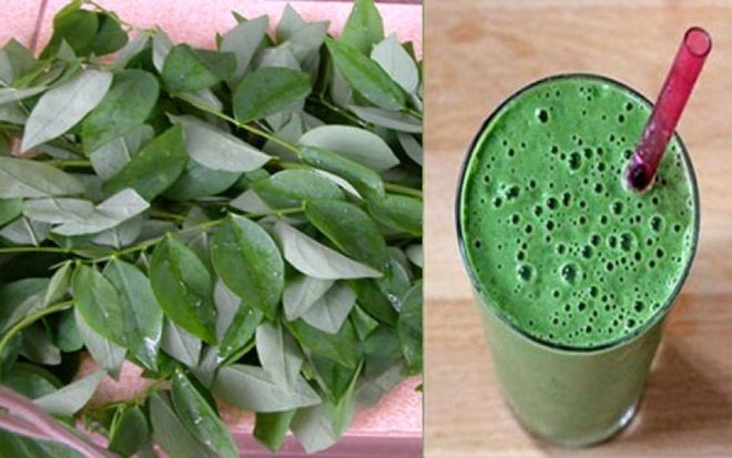 nước ép rau ngót chữa sót nhau, và nguy cơ gây sảy thai cao