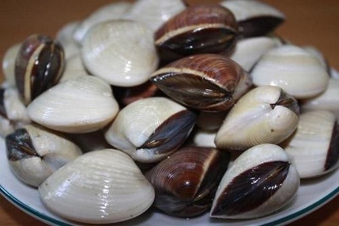 ngao rửa sạch sau đó ngâm nước muối