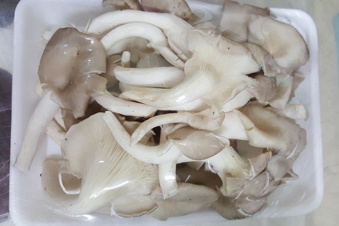 nấm sò