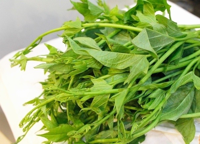 ngọn rau lang