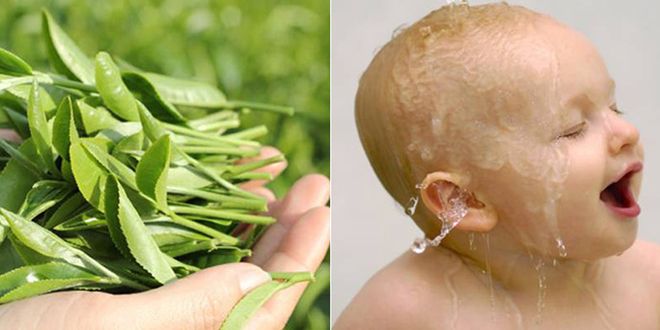 tắm lá trà cho trẻ sơ sinh