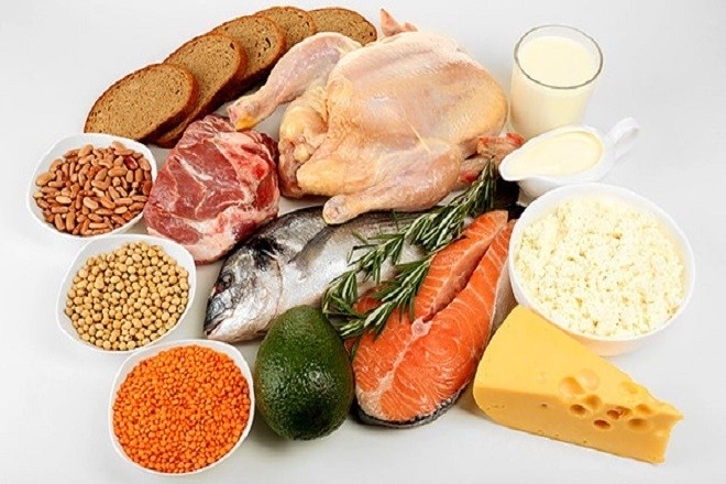 các thực phẩm giàu protein