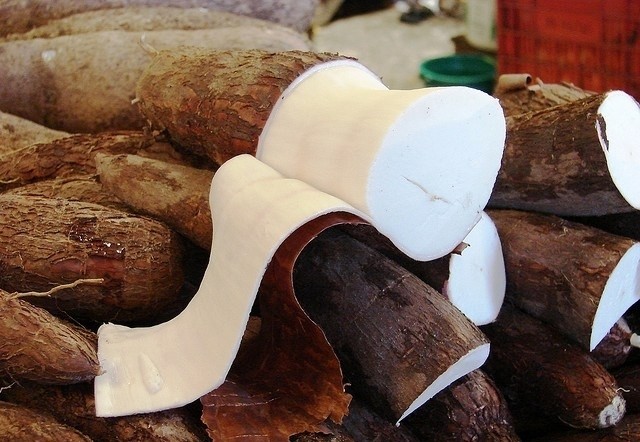 khoai mì gọt vỏ