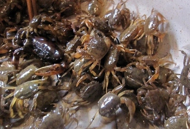 cua đồng nấu bún