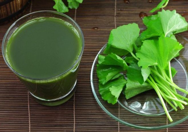 rau má trị táo bón