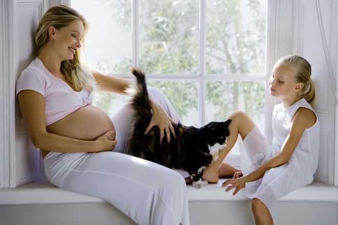 Mẹ bầu cần vệ sinh kỹ khi tiếp xúc với vật nuôi