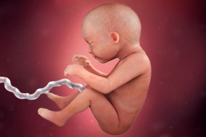 mô phỏng em bé trong bụng mẹ