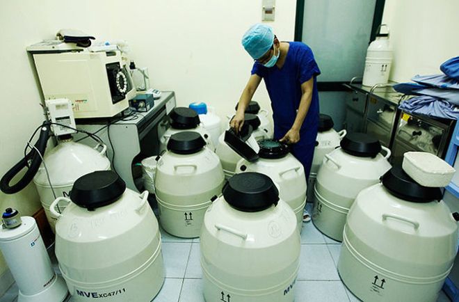 bác sĩ tiến hành trữ đông tinh trùng
