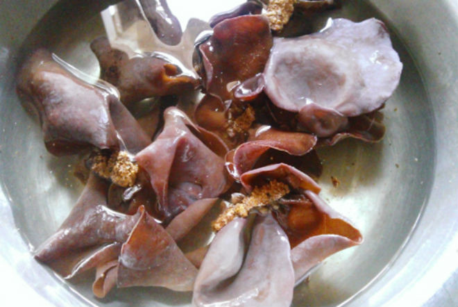 ngâm mộc nhĩ