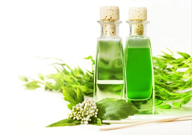 Tinh dầu tràm thiên nhiên rất tốt cho mẹ bầu