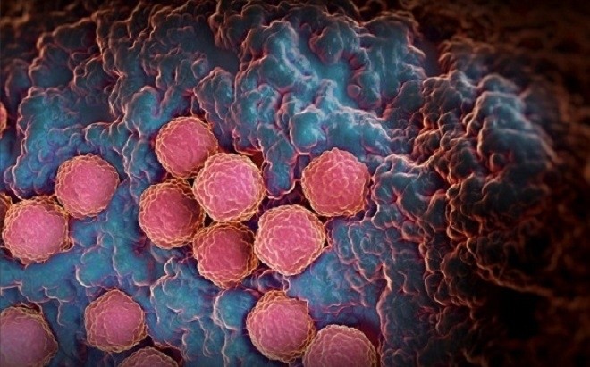 rubella là một căn bệnh vô cùng nguy hiểm