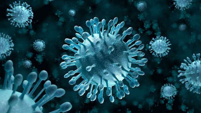 virus viêm gan B