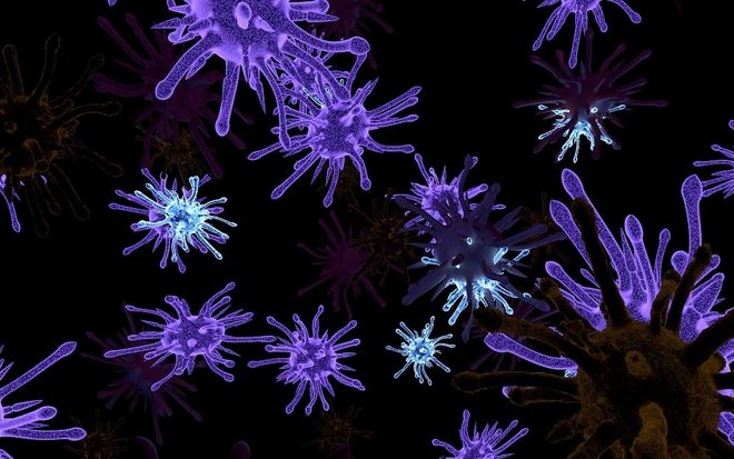Virus gây bệnh cúm