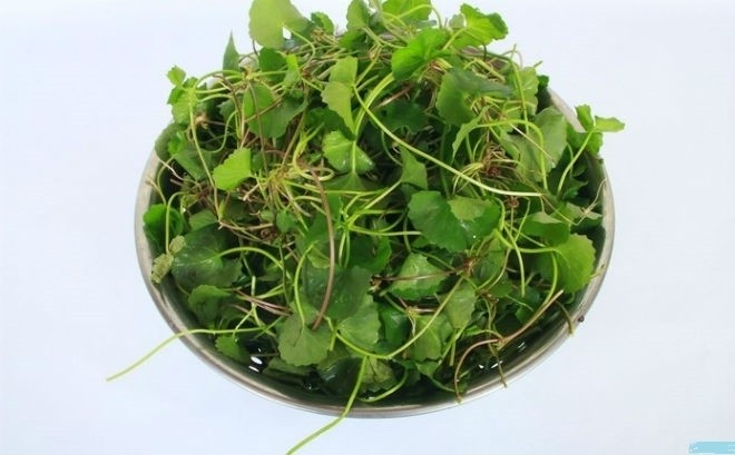 rửa sạch rau má