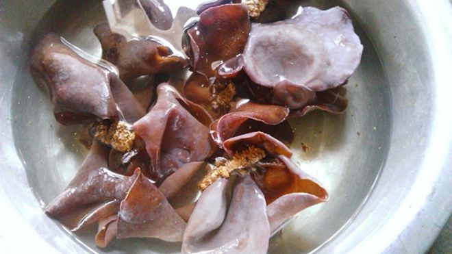 ngâm mộc nhĩ