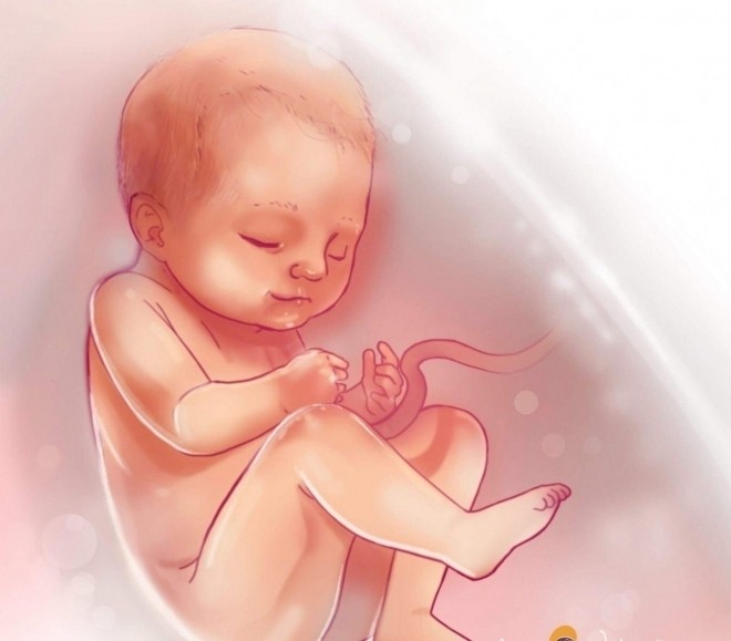 Hệ miễn dịch chưa hoàn thiện dễ khiến trẻ bị mắc một số bệnh khi sinh ra