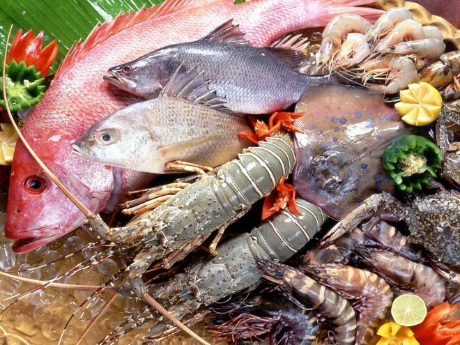 hải sản rất giày omega 3