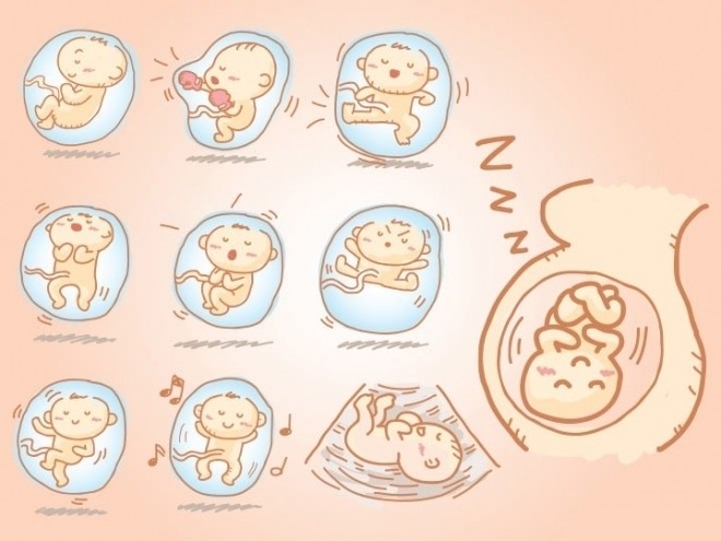 thai nhi cử động trong bụng mẹ