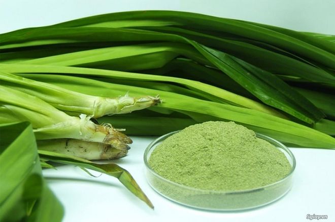bột lá dứa