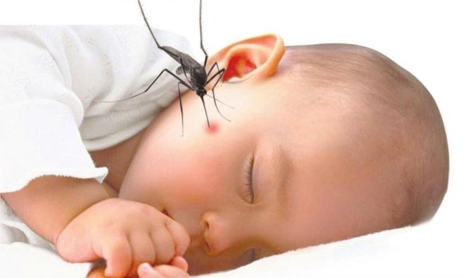 muỗi chích bé