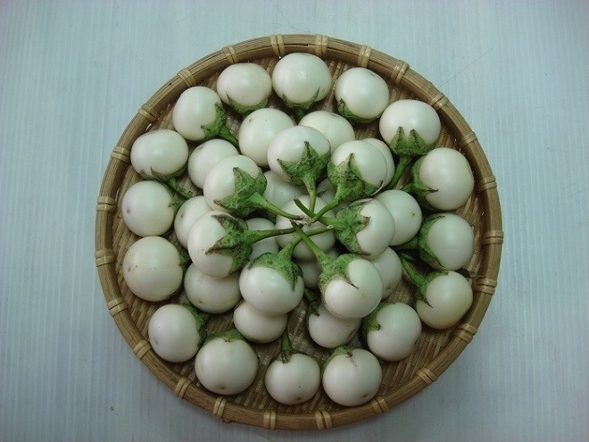 cách chọn cà pháo