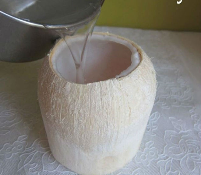 đổ hỗn hợp agar đã đun sôi vào quả dừa