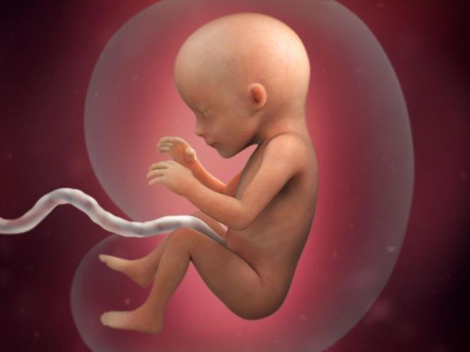 Bé yêu trông đã ra dáng một em bé sơ sinh khi thai 17 tuần