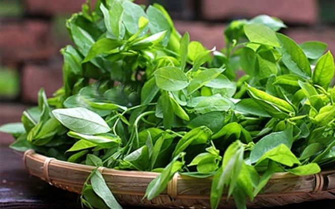 Mẹ bầu nên hạn chế ăn rau ngót