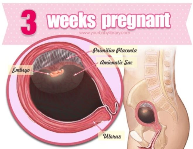 thai 3 tuần mẹ bắt đầu có những thay đổi nhẹ