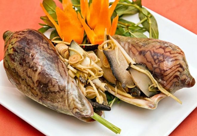 ốc giác