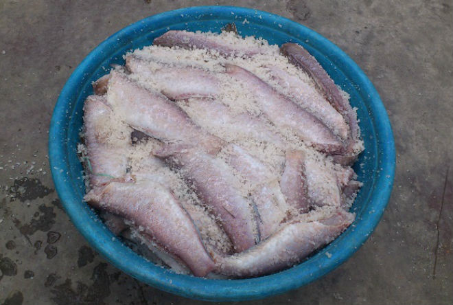 cá đồng ướp muối