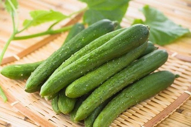 chọn hạt giống dưa leo