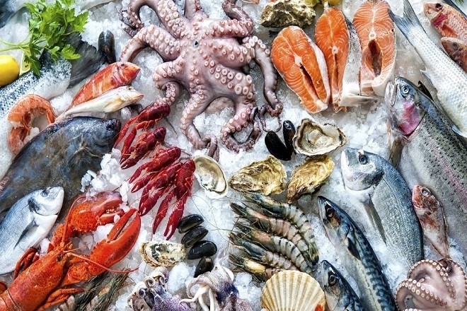 mẹ đặc biệt lưu ý khi nấu cáo ăn dặm cho bé từ hải sản