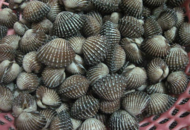 sò rửa sạch